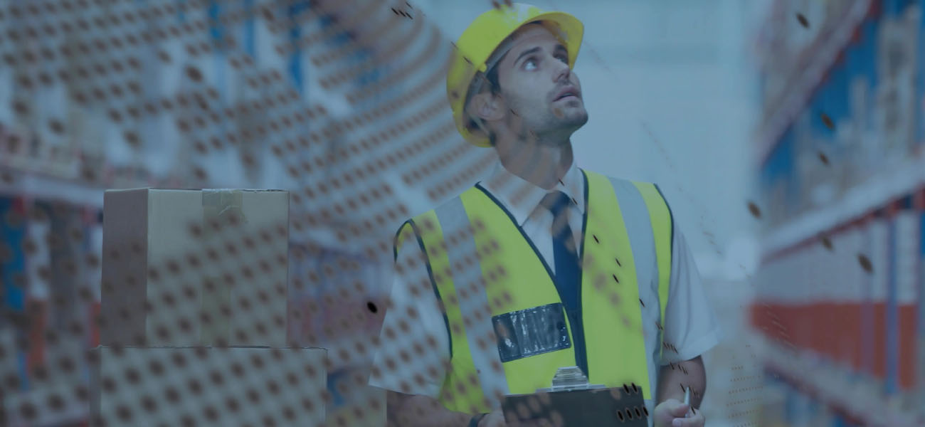 Crane Solutions for Growing Manufacturing Facilities | Lifting Systems